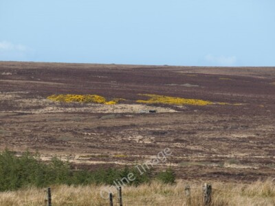 Photo 6x4 Moorland above Octomore Woods Bruichladdich  c2010