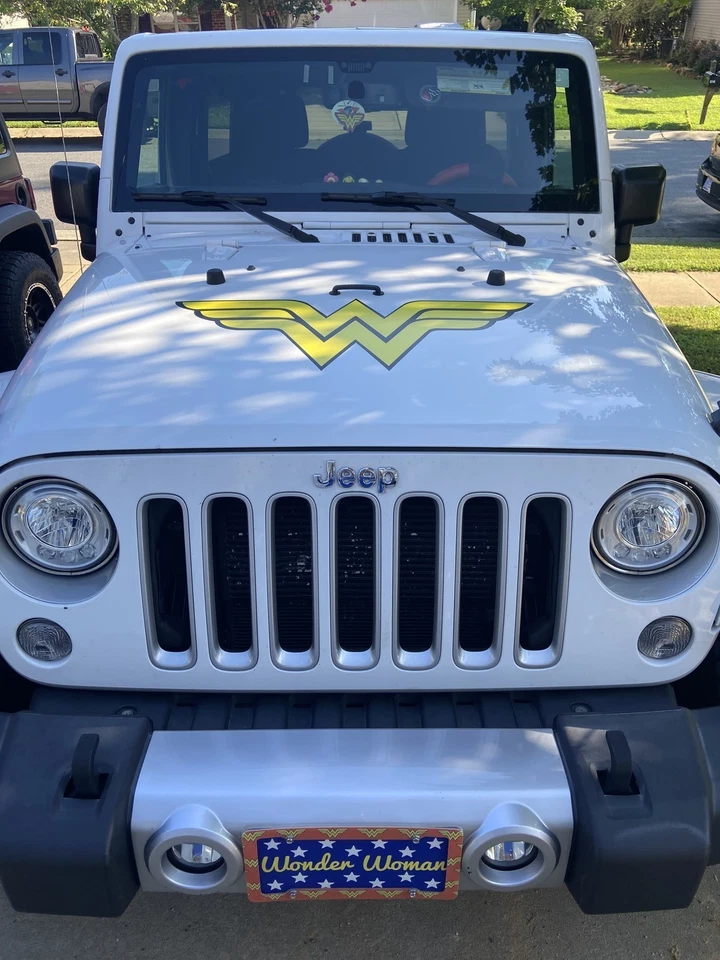 WONDER WOMAN Vinilo Calcomanía Adhesiva Cómic Dawn of Justice League COCHE CAMIÓN PORTÁTIL Foto 2 de 4