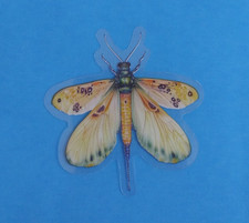 Moth Insect Transparent Sticker 2.25" x 2.18" E