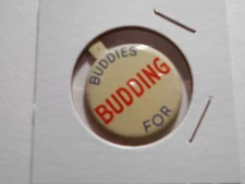 1" Buddies For Budding unknown location litho tab pinback button
