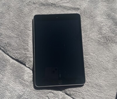ipad mini 4th generation 128gb wifi space grey | eBay