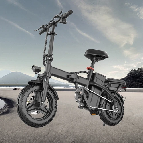 Electric Bike Adults Folding Ebike BICYCLE 600W Peak Motor 48V Max 20MPH 22Miles