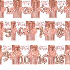 Rose Gold Birthday Balloon Set Number Balloon Fringe Curtain Letter Balloons 0-9