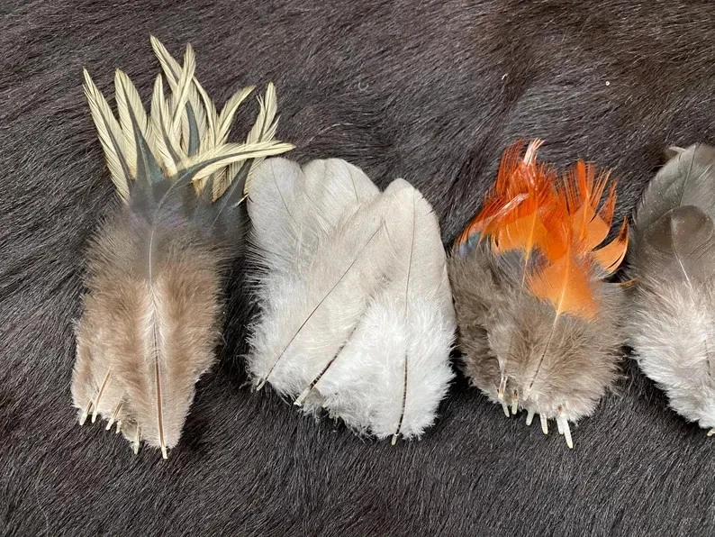 50er Federmix, 5-10cm, 5 Sorten, Bastelfedern aus guter Haltung, Naturfedern, kl - Bild 4 von 4