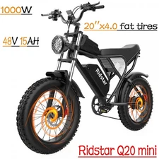 Ridstar-Q20 Mini 48V 15AH 20inch Fat Tire E-Mountainbike 1000W E-Bike for Aldult