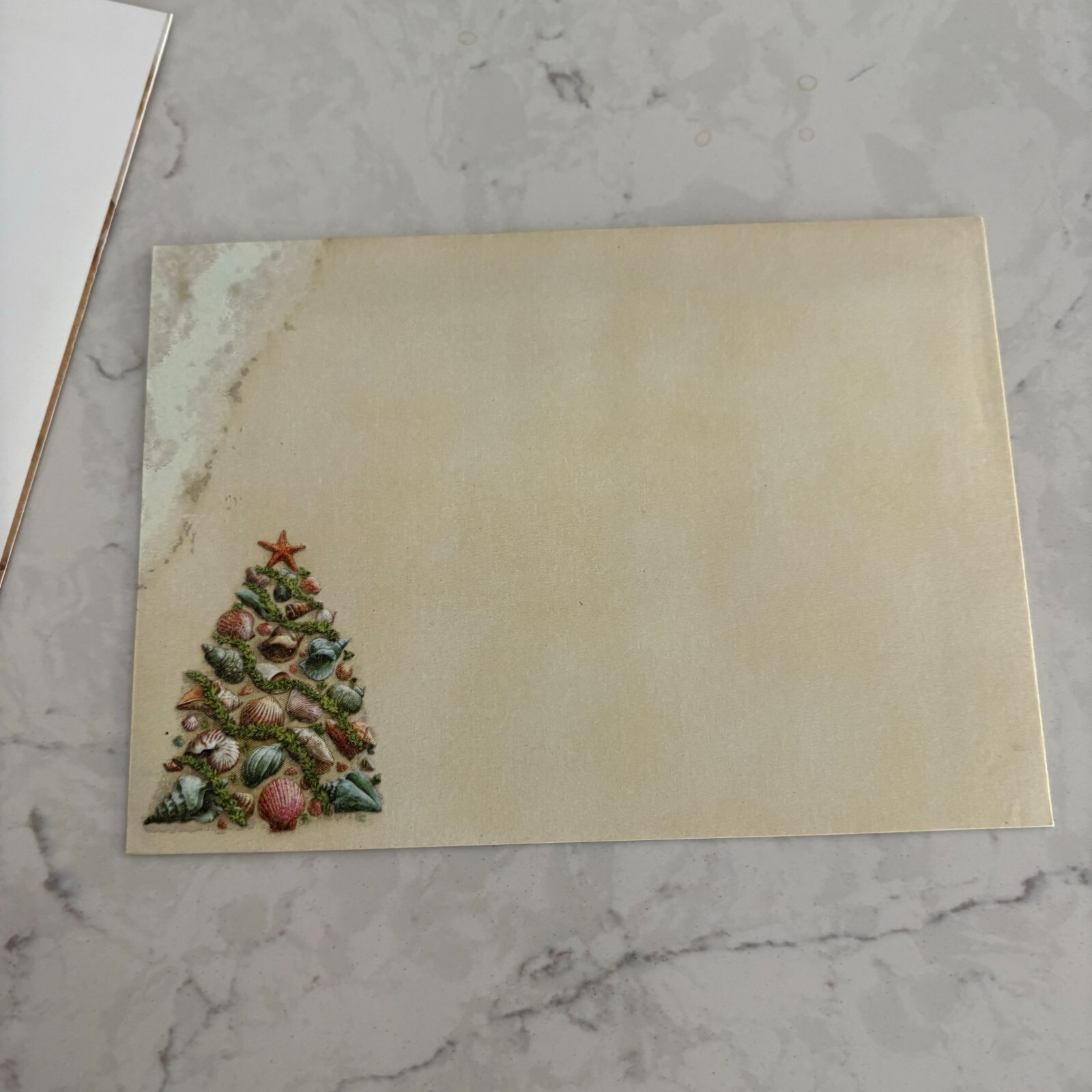 Picture 5 of 5
