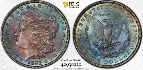 1881 Morgan Silver Dollar MS65 PCGS Monster Toner