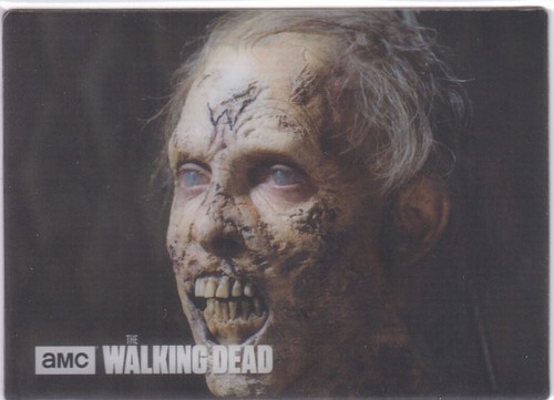 THE WALKING DEAD SEASON 5 DOG TAGS CARD STICKER #S2 OF 24 - 第 1/1 張圖片