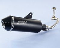 Auspuff Polini Maxi-Scooter Schwarz Aluminium - Vespa