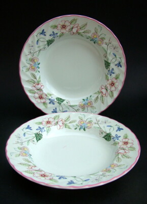 ZWEI Wood & Sons Spring Fields Lg Suppenschalen mit tiefem Rand 23 cm von Jenny Rhodes sehr guter Zustand