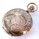 G21 BEAUTIFUL 1893 MINT ELGIN FANCY HUNTING HUNTER RUNS A+!      133 YEARS OLD!
