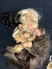 Barbie Doll Vintage Lot HEADS ONLY FOR OOAK PROJECTS PJ DEEDEE KELLY