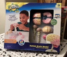 Edu Science Lab Human Brain 9 Piece Cross Section Model Anatomy Science SEALED