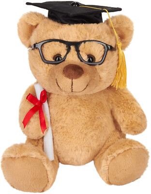 Abschluss-Teddy Examens-Bär Kuscheltier Geschenk Student Schulanfang Graduation
