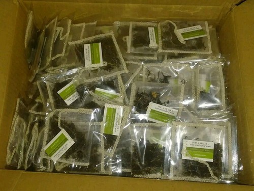 Mighty leaf tea, Jasmine Fancy Tea 100 CT Whole Leaf Tea Pouch.