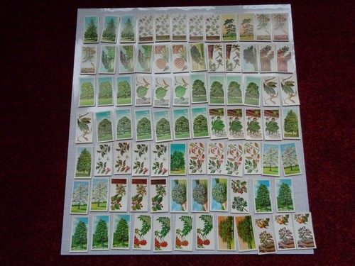 Vintage 1966 Brooke Bond TREES IN BRITAIN - Complete Set + Spares - Total 149.