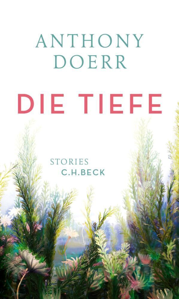 Thumbnail - Die Tiefe Stories Anthony Doerr Buch 267 S. Deutsch 2017 Beck Ean