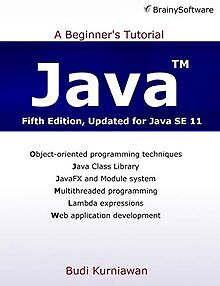 Java: A Beginner's Tutorial (Fifth Edition) von Kurniawa... | Buch | Zustand gut