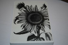 La Blanche Sonnenblume Feinkonturenstempel  NEU