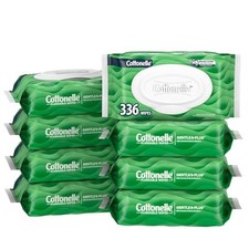 Flushable Wipes, 8 Packs, 42 Wipes Each, Unscented, Gentle Adult Cleansing