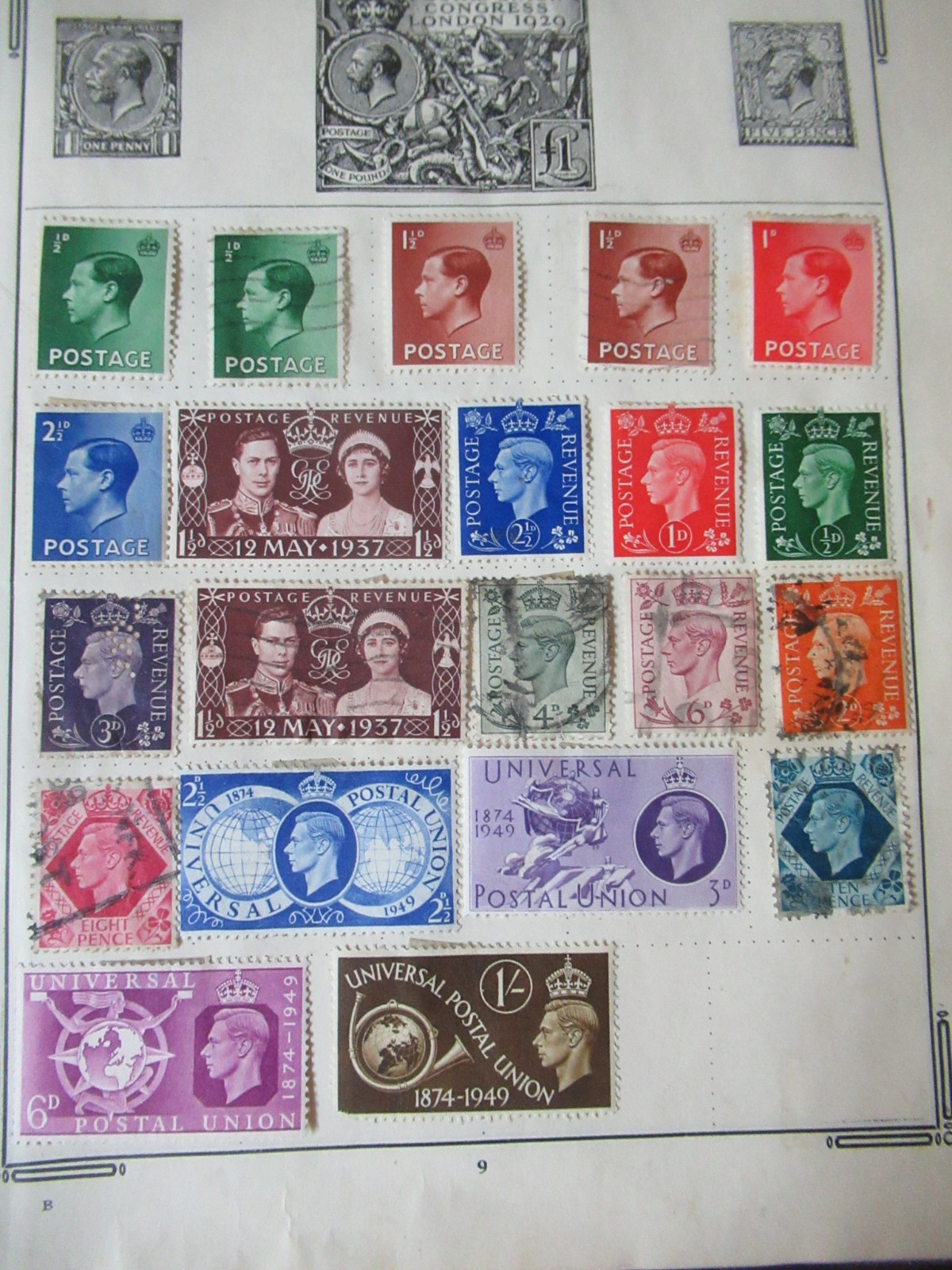 Picture 5 of 19