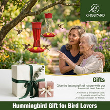 Glass Hummingbird Feeder for Outdoors Hanging, 10 oz Leak-Proof Humming Bird ...