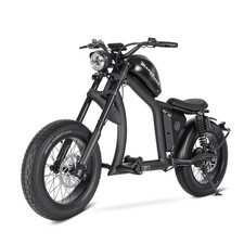 FT02 E-Bike mit StraBenzulassung EEC, 48V 1KW Elektro Motorrad 45KM/H
