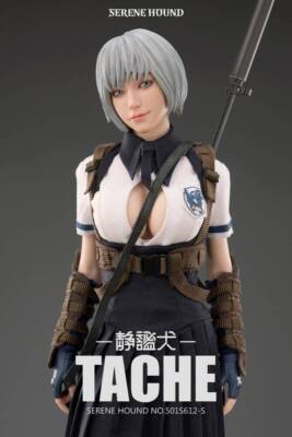 【i8TOYS】SERENE HOUND Tache 1/6 フィギュア i8TOYS】1/6 NO.501S612-S 