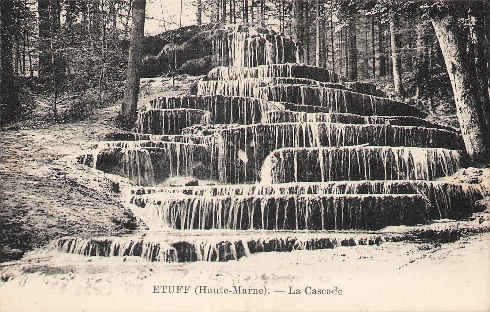 Photo 1/1