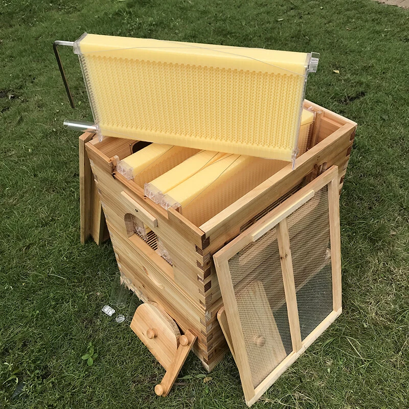 7 x Beekeeping Frames Bee Hive Frame for Auto Beehive House Honey Comb Boxes New - image 2 of 4
