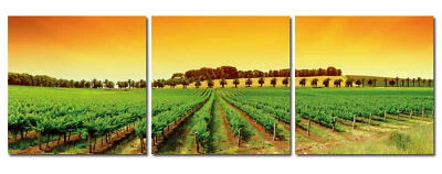 Bild Toskana Wein-Feld Fotodruck Holz-Tafeln Wandbild 3er Set einfache Montage - Bild 1 von 3