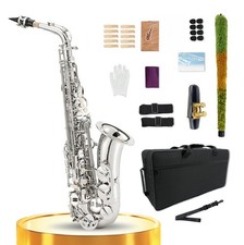 Saxophone Kit Sliver Eb Flat Alto Saxophone with Carry Case  Accessories