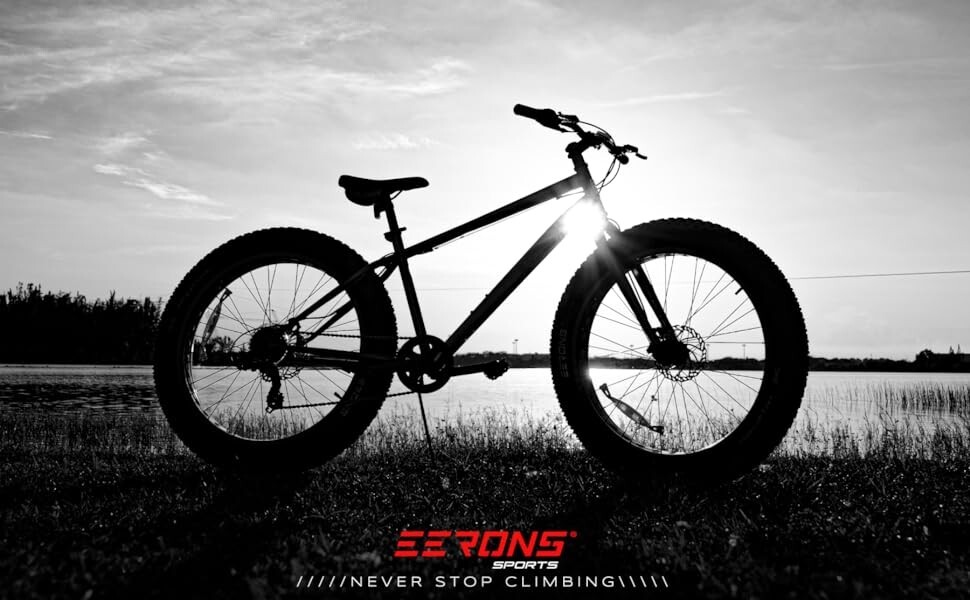 20x4.0 Fat Tire - E-bike Tire | Electric Bike Tire (Set of Two Tires) 20 x 4