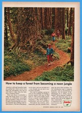 1966 Sinclair Gas Keep A Forest From Neon Jungle Conservation Photo Print Ad