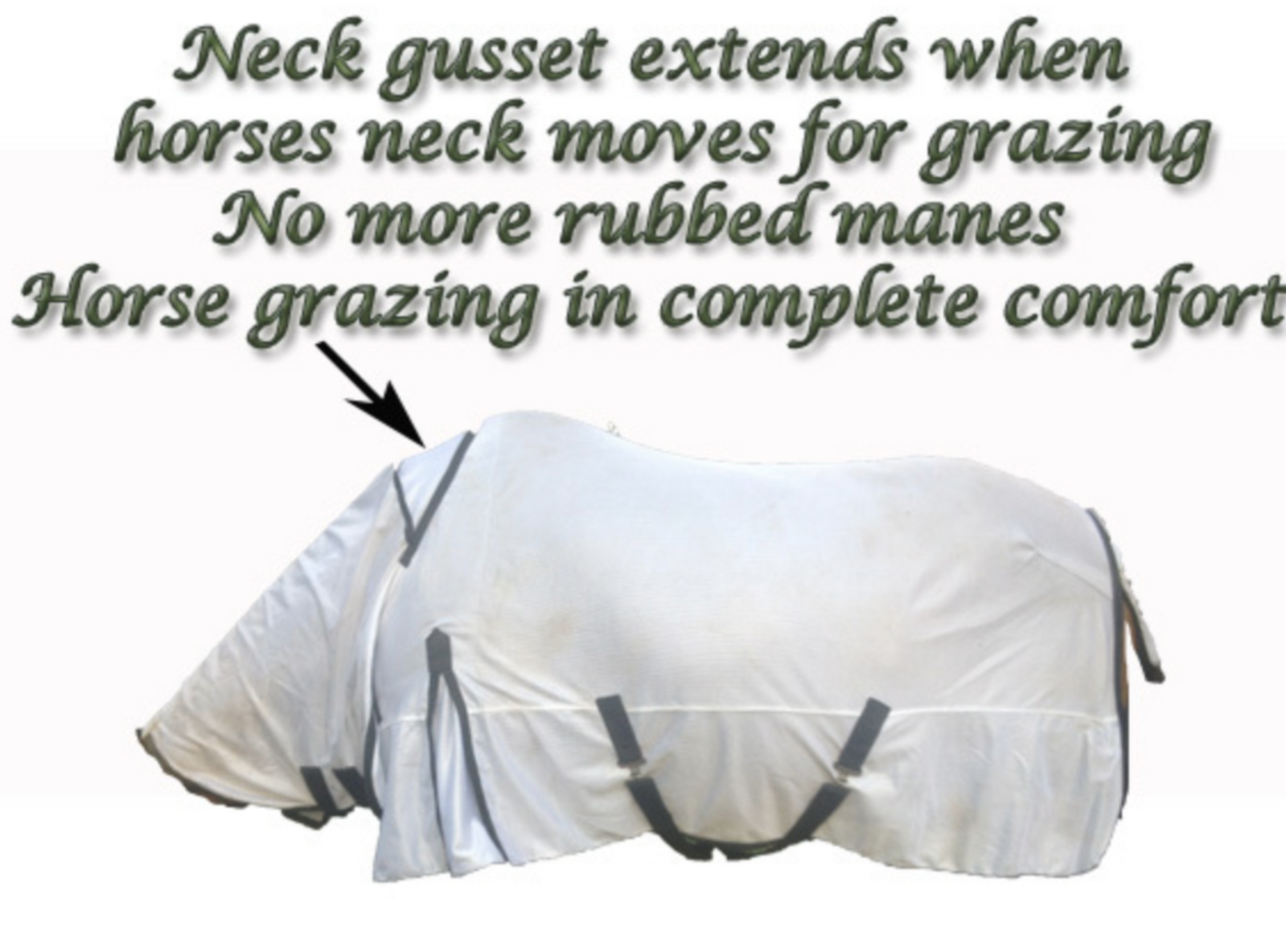 horse mesh combo with comfort grazing neck extender zebra horse rug