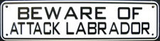 Beware Of Attack Labrador Sign