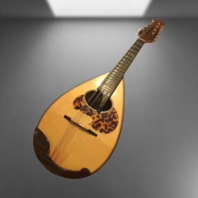 Tsuneo Fujimaru mandolin Anno2005 ikegaku Scale 13.4 in eith Hard