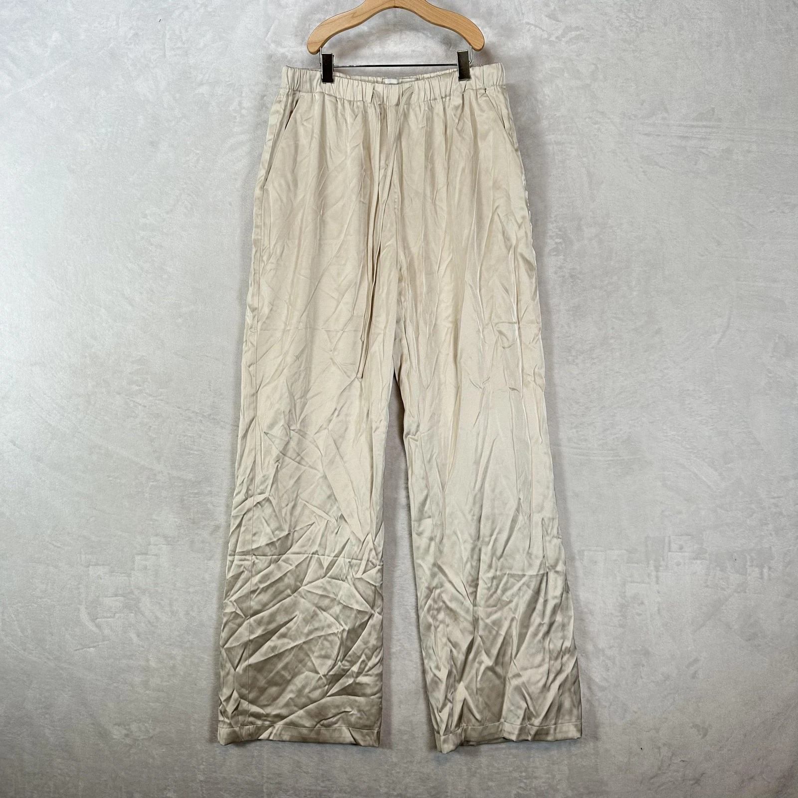 Abercrombie & Fitch Pants Womens XS Cream Satin Wide Leg Pull On Elastic Relaxed
Opens in a new wind