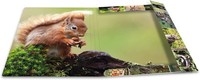 "Herma Eckspannermappe \"Waldtiere\", Karton, Din A3 2 Bis 24 Stk Spare 61%"