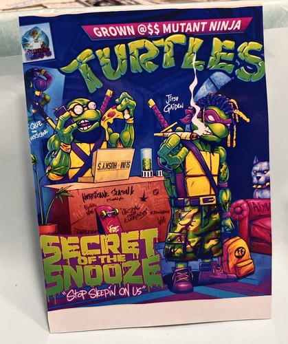 "Custom Made" Hot wheels Cheech and Chong Ninja Turtles Party Wagon Real Rider - Picture 2 of 9