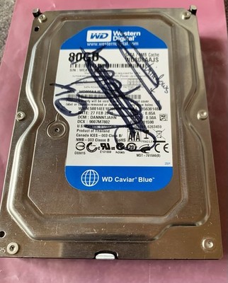 WD Western Digital Harddisk/Festplatte 3,5  SATA 80GB Getestet