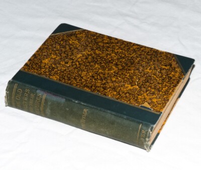 Sarah Tytler - The Old Masters And Their Pictures 1893 Vintage Book