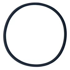 American (53002800) Caribe, Quantum, Olympian, Sandpiper, Titan Tank O-Ring 18"