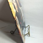 Picture 5 of 16