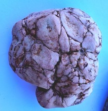 Natural Heart-Shaped Beige Rock Specimen with Brown and Red Markings Approx. 9cm