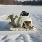 Bild 2 von 13