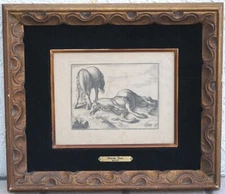 Fine Antique Art Etching Print On Paper Of Horses by Christoph Weigel 1654-1725