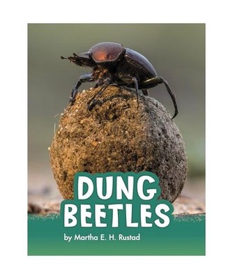 Dung Beetles, Martha E. H. Rustad