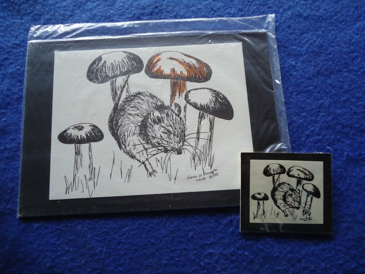 Field Mouse 2 Piece Small Print on 5x7 Mat Ready for Framing