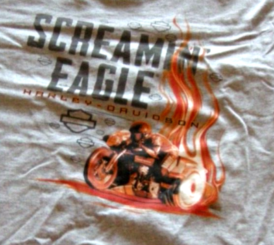Ｎｏ．１３ Harley-Davidson Boys Short Sleeve T-Shirt, Gray, Logo W/Motorcycle